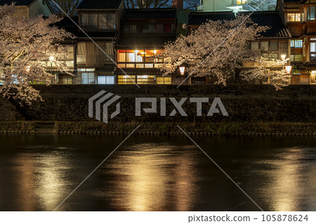 金澤著名賞櫻勝地一町茶屋區的夜櫻 金澤著名賞櫻勝地一町茶屋區的夜櫻 105878624