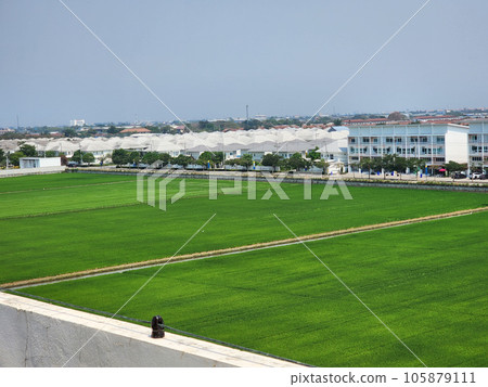 farm field and the surrounding a city 105879111