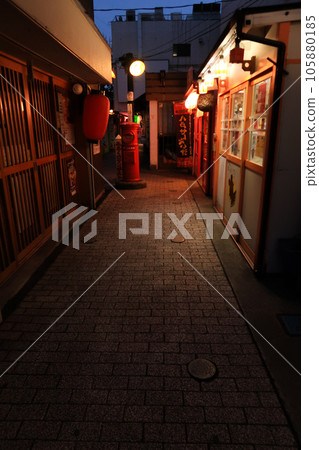 [Hachinohe City, Aomori Prefecture] Scenery of Miroku Yokocho at night 105880185