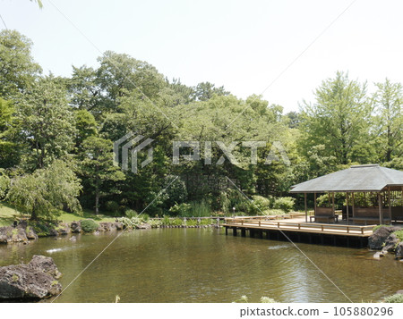 駿府城紅葉山庭園（日本名城百選） 105880296