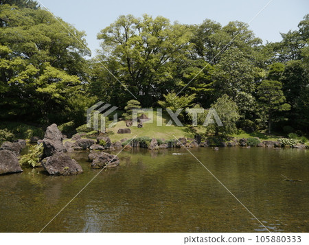 駿府城紅葉山庭園(日本名城百選) 駿府城紅葉山庭園(日本名城百選) 105880333