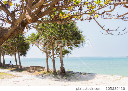 Places where the sea can be seen Places where the sea can be seen 105880410