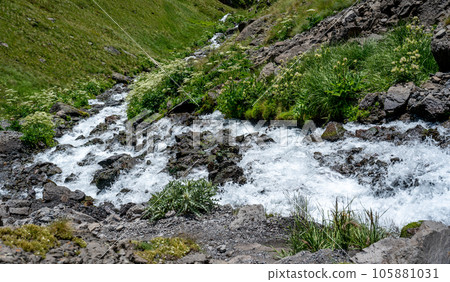 mountain river stream. pure mountain stream flows from glaciers. mountain summer landscape in alpine meadows mountain river stream. pure mountain stream flows from glaciers. mountain summer landscape in alpine meadows 105881031