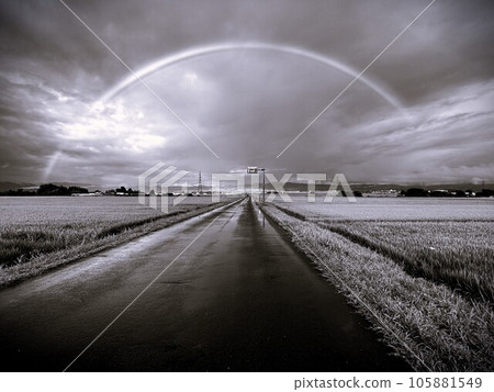 夏季莊內平原的彩虹路 - 黑白 105881549