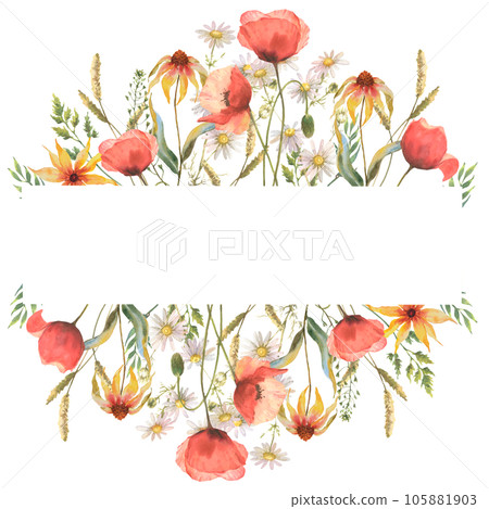 Watercolor wild flower frame, red poppies, field herb and chamomile, isolated on white background. Good for cosmetics, medicine, treating, aromatherapy, nursing, package, postcards 105881903