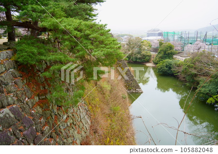 High stone wall and Nishiuchi moat of Iga Ueno Castle (Iga City, Mie Prefecture) 105882048