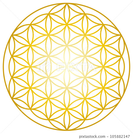 金色生命之花神聖幾何插畫 105882147