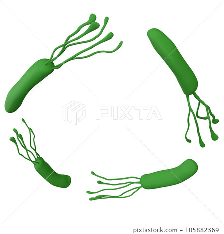 Helicobacter pylori bacteria 3d render realistic frame with place for text. isolated with clipping path. Microbiology health human illustration 105882369