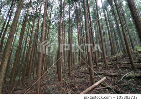 Climbing Mt. Bonoori in Hanno, Saitama Prefecture in August 2023 105882732