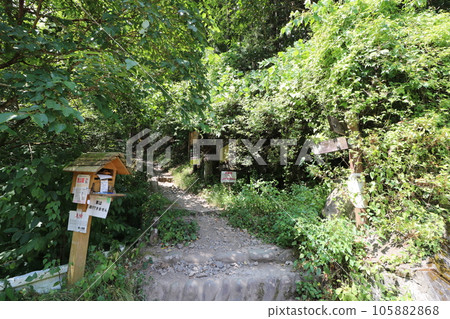 Climbing Mt. Bonoori in Hanno, Saitama Prefecture in August 2023 105882868
