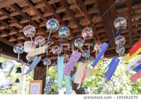Takatsuki City, Osaka / Wind chimes at Nomi Shrine (taken on August 6, 2023) 105882870
