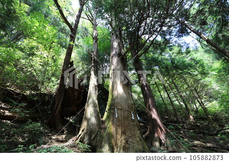 Climbing Mt. Bonoori in Hanno, Saitama Prefecture in August 2023 Climbing Mt. Bonoori in Hanno, Saitama Prefecture in August 2023 105882873
