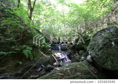 Climbing Mt. Bonoori in Hanno, Saitama Prefecture in August 2023 Climbing Mt. Bonoori in Hanno, Saitama Prefecture in August 2023 105883040