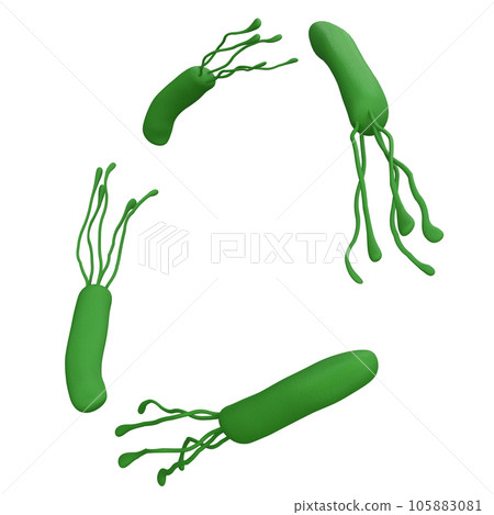 Helicobacter pylori bacteria 3d render realistic frame with place for text. isolated with clipping path. Microbiology health human illustration 105883081