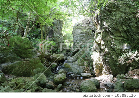 Climbing Mt. Bonoori in Hanno, Saitama Prefecture in August 2023 105883120