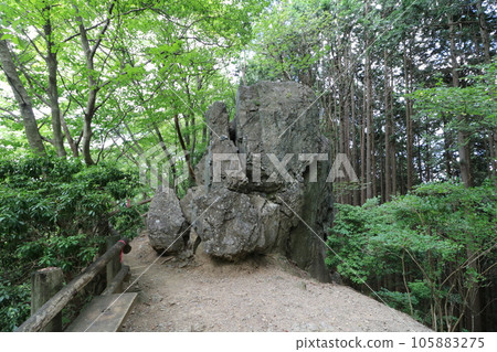 2023年8月攀登埼玉縣飯能市的Bonoori山 105883275