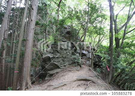 2023年8月攀登埼玉縣飯能市的Bonoori山 2023年8月攀登埼玉縣飯能市的Bonoori山 105883278