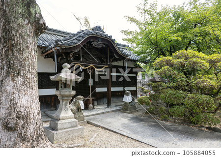大阪府高槻市/長井神社（2023年8月6日拍攝） 105884055