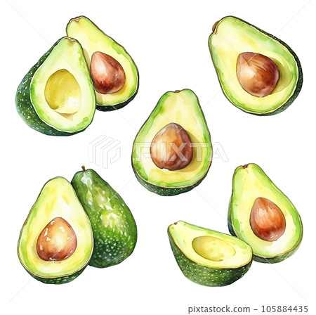 Set of watercolor avocado isolated on white background. Generative ai. 105884435