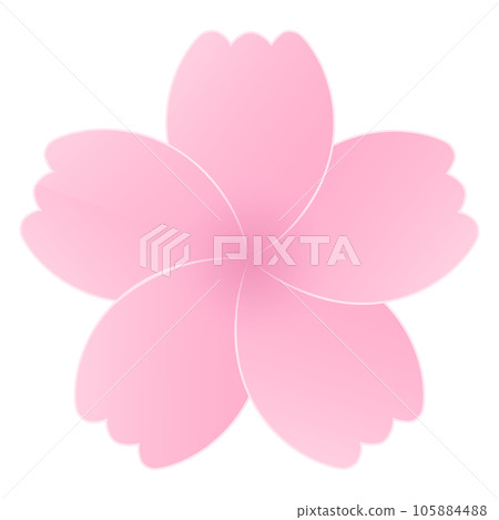 Sakura Cherry Blossom Flower Petals 105884488