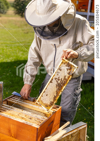 Beekeeper in protective workwear working collect honey. Beekeeper in protective workwear working collect honey. 105884673