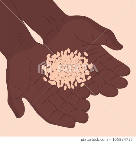 African man hands holding a small handful of wheat African man hands holding a small handful of wheat 105884755