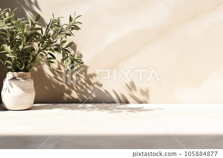 interior design, Minimal empty white marble stone counter table top, green tree in sunlight, leaf shadow on beige brown stucco cement wall for luxury organic cosmetic, skincare, beauty treatment produ 105884877