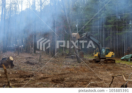 Using an excavator worker is clearing area uprooting trees to build house. 105885391