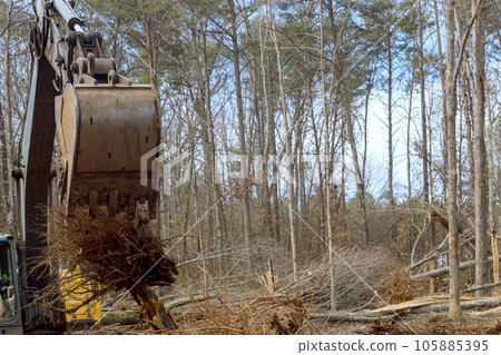 As result of tree uprooting operation using an excavator worker prepares ground to be used for construction house in forest As result of tree uprooting operation using an excavator worker prepares ground to be used for construction house in forest 105885395