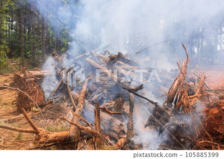 Burning uprooted trees is one of first steps in preparation land for construction Burning uprooted trees is one of first steps in preparation land for construction 105885399