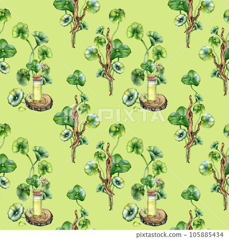 Centella asiatica, essential oils on wooden stand watercolor seamless pattern isolated on green. Pennywort, herbal plants on wooden branch hand drawn. Design element for package, background, wrapping Centella asiatica, essential oils on wooden stand watercolor seamless pattern isolated on green. Pennywort, herbal plants on wooden branch hand drawn. Design element for package, background, wrapping 105885434