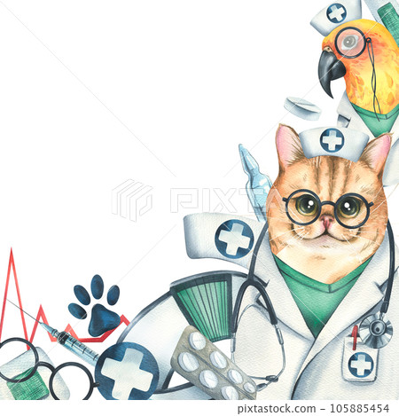 Veterinary doctors cat with parrot, medical instruments, footprints. Watercolor illustration, hand drawn, for the design of clinics, hospitals, pharmacies. Template on a white background Veterinary doctors cat with parrot, medical instruments, footprints. Watercolor illustration, hand drawn, for the design of clinics, hospitals, pharmacies. Template on a white background 105885454