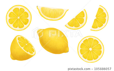 Lemons. Realistic illustration isolated on white. Whole, half and slices of a ripe lemon. Citrus juicy set of cut pieces of sour fresh fruits with bright yellow peel. 105886057