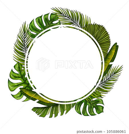 Round template for text with tropical palm leaves. Tropic leaf wreath. Circle frame with jungle rainforest exotic plants. Isolated on white realistic hand drawn illustration for label design. 105886061