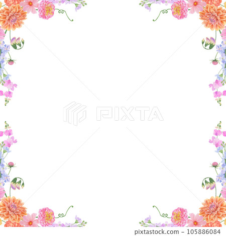 Watercolor botanical colourful frame of summer and autumn flowers: dahlia, zinnia, lathyrus, gillyflower, nasturtium. Good for wedding print products, paper, invitations, greetings, fabric, posters 105886084
