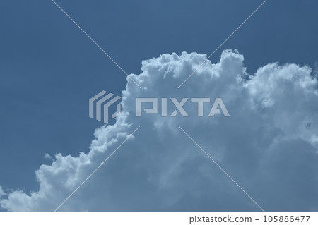 北斗市白州町 北斗市白州町 105886477