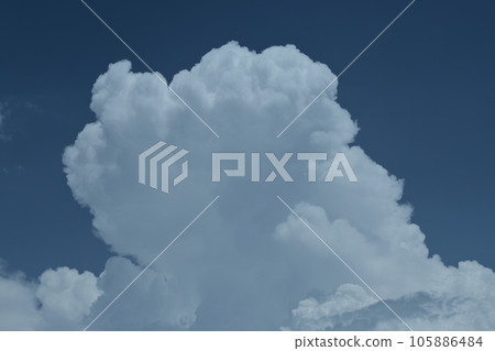 北斗市白州町 北斗市白州町 105886484