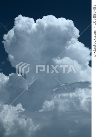 北斗市白州町 北斗市白州町 105886485