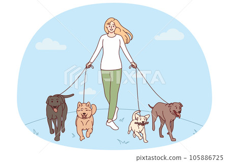 Woman walking with dogs on leashes Woman walking with dogs on leashes 105886725