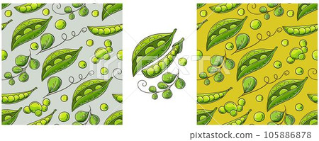 Seamless pattern. Color Set in hand draw style. Can be used for fabric and etc 105886878