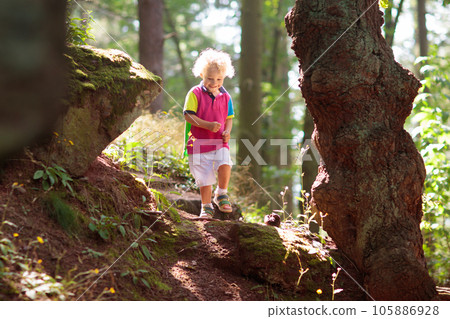 Kids play in autumn park Kids play in autumn park 105886928