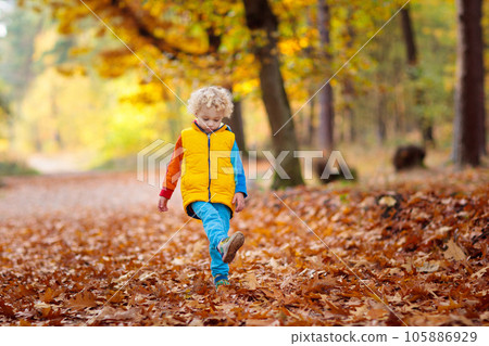 Child in fall park. Kid with autumn leaves. Child in fall park. Kid with autumn leaves. 105886929
