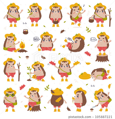 Cute Hedgehog Character in Hat and Shorts Engaged in Different Activity Vector Set 105887221