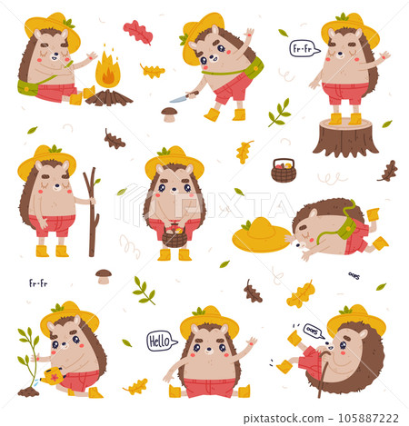 Cute Hedgehog Character in Hat and Shorts Engaged in Different Activity Vector Set 105887222