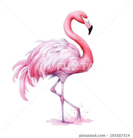 105,900+ Pink Flamingo Stock Photos, Pictures & Royalty-Free Images -  iStock