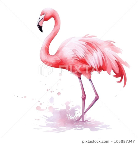 Watercolor pink flamingo isolated 105887347