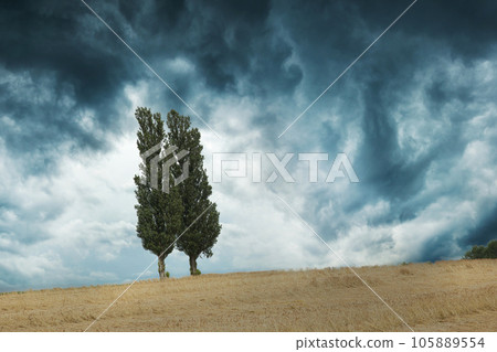 field of stormy weather 105889554