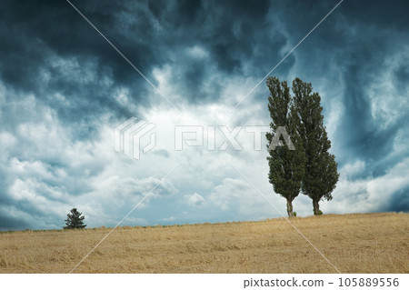 field of stormy weather 105889556