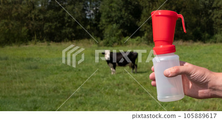 Hand of farmer holding a teat dip cup for udder cow disinfection on the background of cow on green grass, banner with copy space Hand of farmer holding a teat dip cup for udder cow disinfection on the background of cow on green grass, banner with copy space 105889617