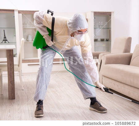 Pest control contractor working in the flat Pest control contractor working in the flat 105889672